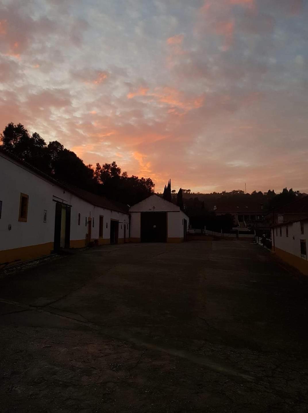 Horse Riding Country House Vila Franca de Xira Zewnętrze zdjęcie