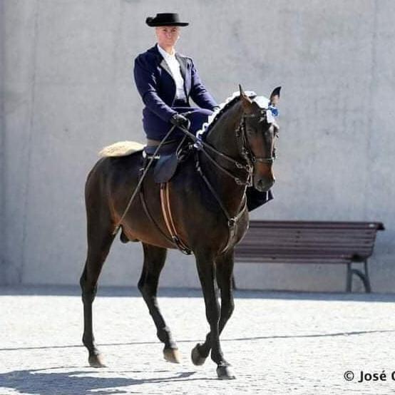 Horse Riding Country House Vila Franca de Xira Zewnętrze zdjęcie