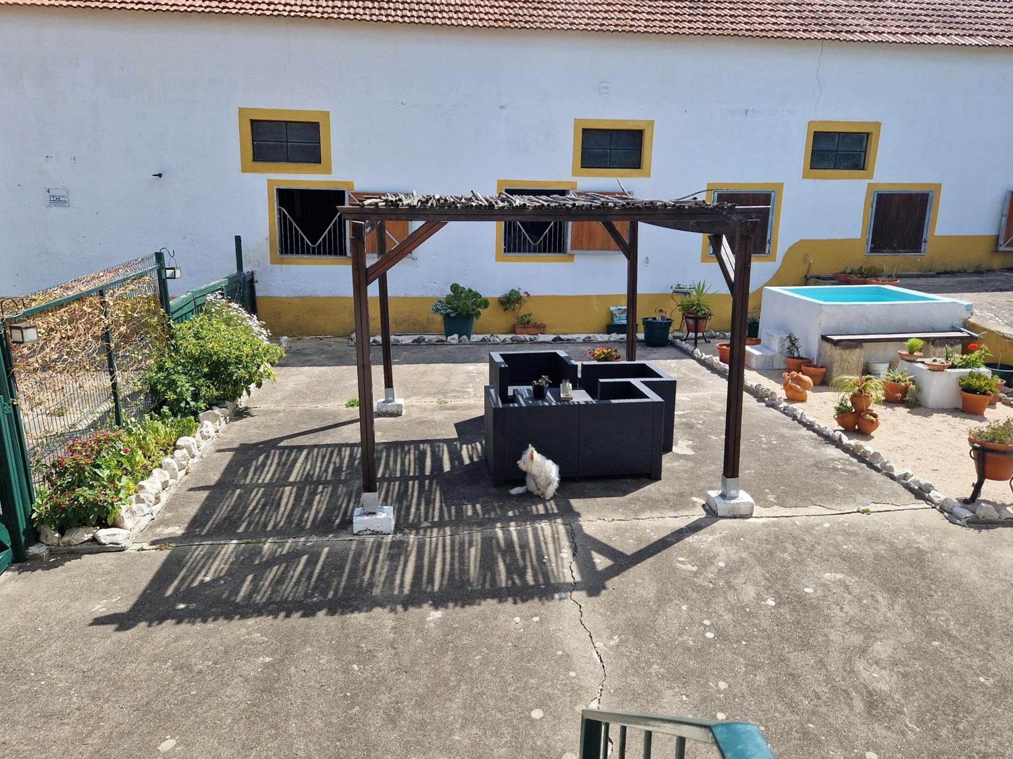 Horse Riding Country House Vila Franca de Xira Zewnętrze zdjęcie