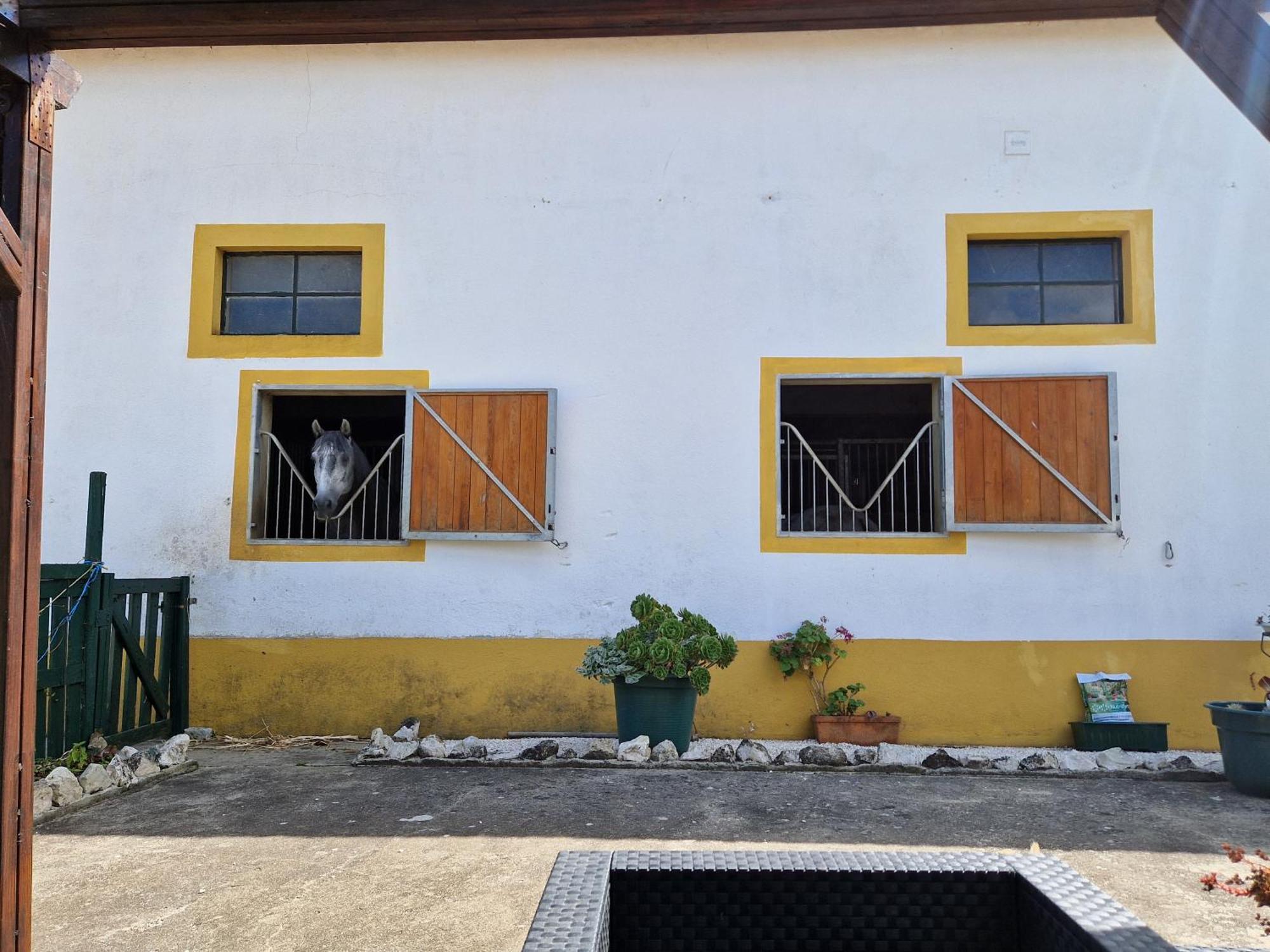 Horse Riding Country House Vila Franca de Xira Zewnętrze zdjęcie